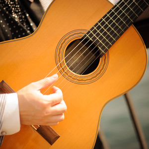 Swiss (Solo Guitar Version)