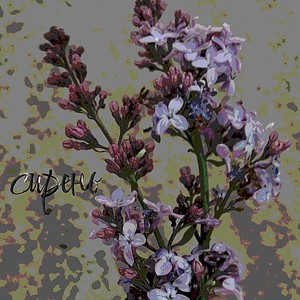 Исторический одноклассник (Explicit)