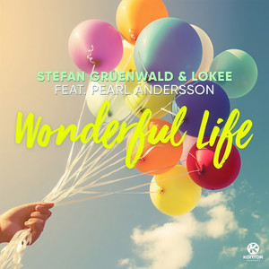 Wonderful Life (Extended Mix)