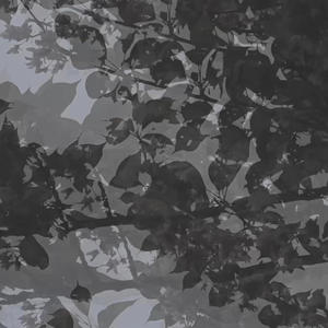 Appetizer (feat. Giordano & Lonzo) (Explicit)