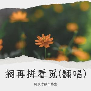 搁再拼看觅 (Live)