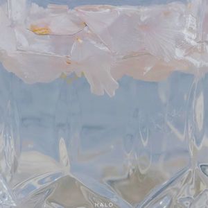 江湖夜雨十年灯-回首凉云