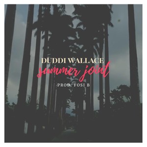 Duddi Wallace - Summer Joint (Explicit)