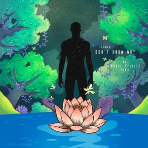 Don't Know Why (Noble Spirits Remix)