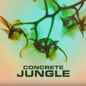 Concrete Jungle