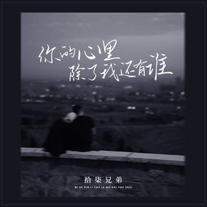 你的心里除了我还有谁 (DJBanan版)封面
