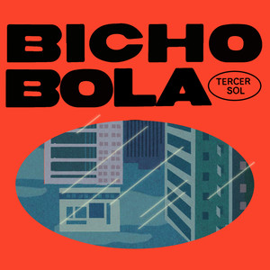 Bicho bola