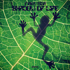 Shadow Of Life (Nico Parisi's In Search Of The Morning Remix)