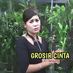 Grosir Cinta