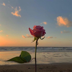 BABY I'M SORRY (DJ版)