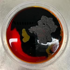 La Nostra Terra