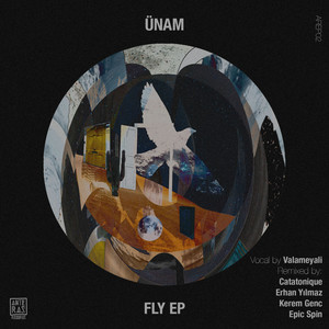 Fly (Kerem Genc Remix)