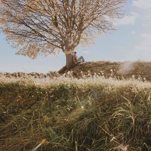 Cicale (feat. baime)