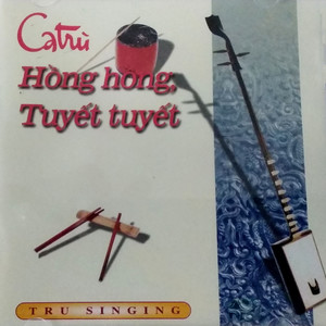 Hồng hồng tuyết tuyết