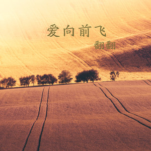 爱向前飞