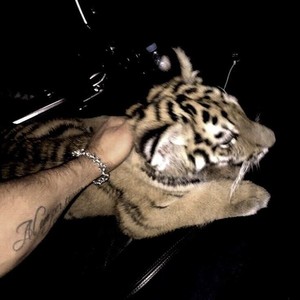 yêu đừng sợ đau