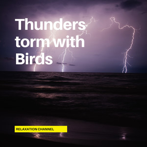 Thunderstorm with Birds