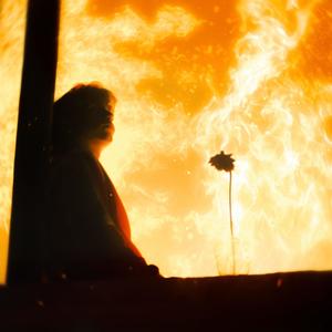 Une fleur à la fenêtre (Explicit)