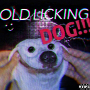 Old Licking Dog