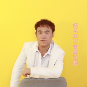 你从来不曾爱过我