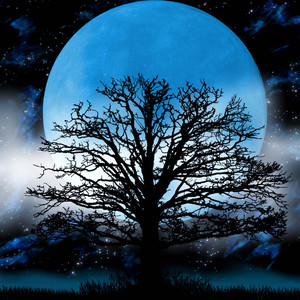 Moonlight Sonata(1st Movement: I. Adagio Sostenuto)