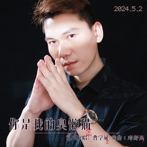 你是我的臭懒猫