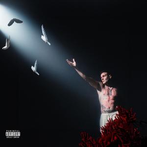 cerchio alchemico (Explicit)