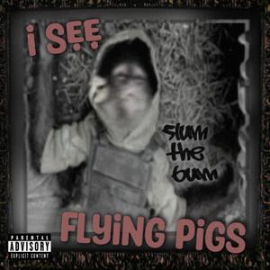 I see flying pigs (Explicit)