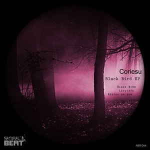 Black Bird (Original Mix)