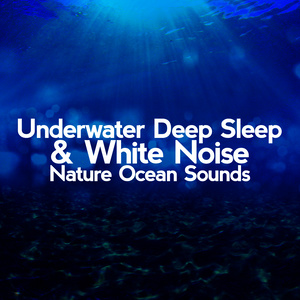 Underwater Deep Sleep & White Noise, Nature Ocean Sounds