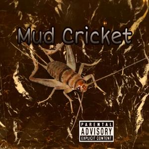 Mud Cricket (Explicit)