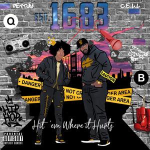 Hit Em Where It Hurts(feat. Pettyy) (Explicit)