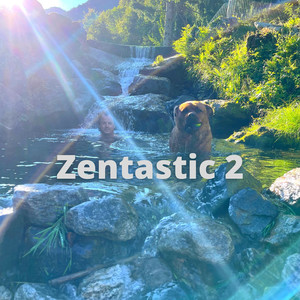 Zentastic 2