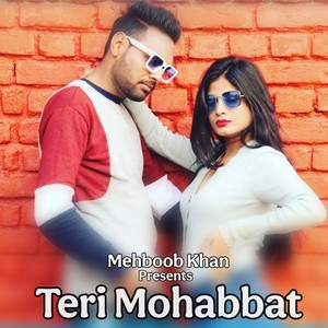 Teri Mohabbat