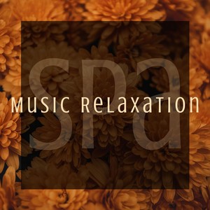 Spa Music Relaxation: Long Playlist of Relaxing New Age Music, Nature Sounds & Piano