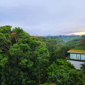 Recalling Martinique