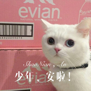 少年，安啦！ (Remix)