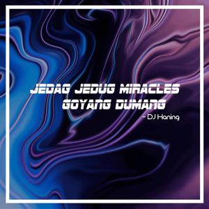 Jedag Jedug Miracles Goyang Dumang