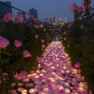 Distance (Slowed + Reverb)