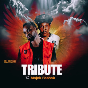 Tribute to Majek