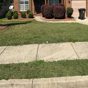 Cream (feat. 74raised & Mizzle) (Explicit)