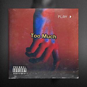 Too Much (Explicit)