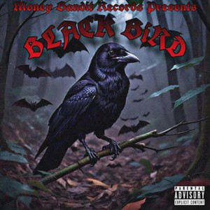 Black Bird (Explicit)