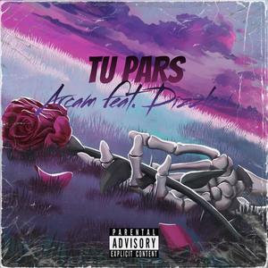 Tu Pars (feat. DizzLow) [Explicit]