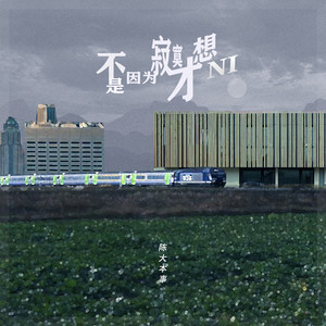 不是因为寂寞才想你-陈大本事