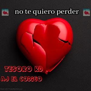 No te quiero perder (feat. tesoro RD)