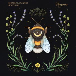 Nocturne (Radio Edit)