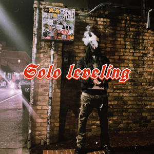 Solo l3v3ling