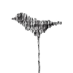 盲鸟