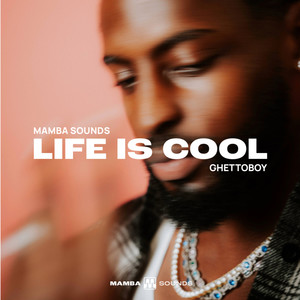 Life is Cool (Explicit)